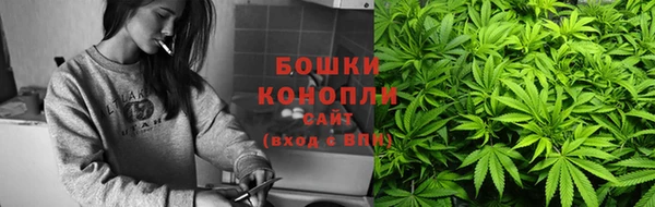 гидропоника Зеленодольск