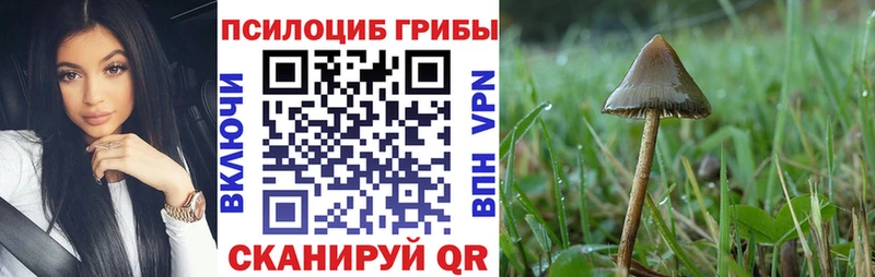 Псилоцибиновые грибы Magic Shrooms  Купить  Володарск 